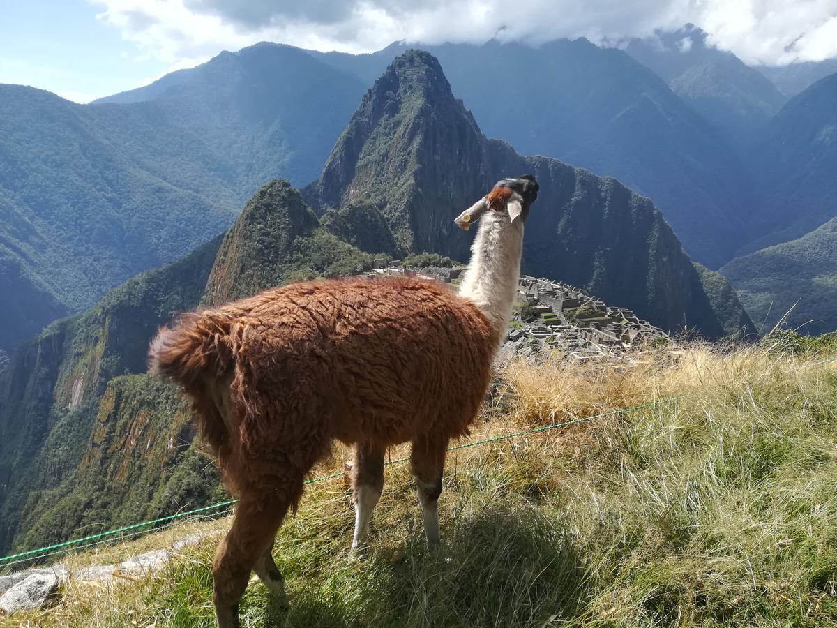 Golden Sunrise Machupicchu Hotell Eksteriør bilde